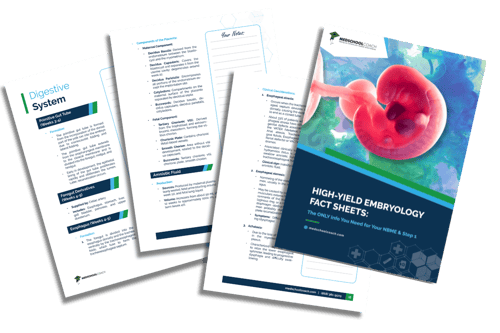 High-Yield Embryology Facts